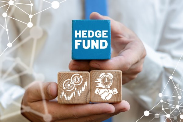 HedgeX Fund